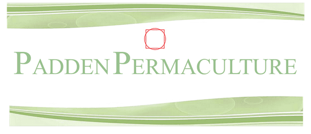 Padden Permaculture